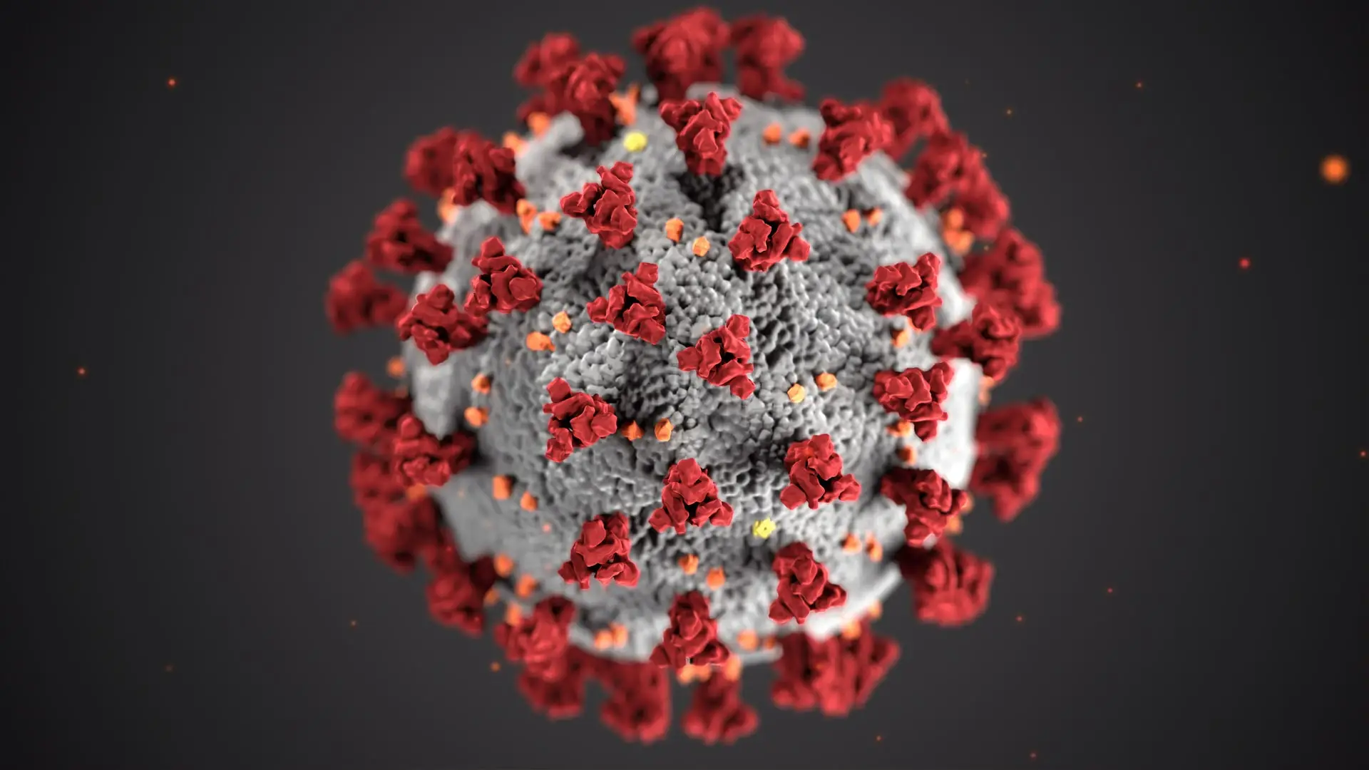 Coronavirus-Unsplash-.jpg