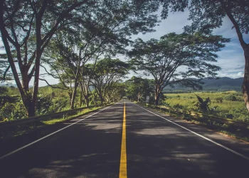 o que esperar para as ações do setor?