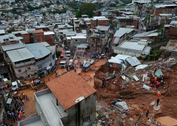 quando o seguro indeniza (e quando não)