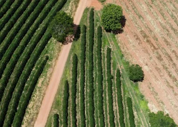 Brasil soma R$ 28 bilhões em prejuízos com desastres naturais em 2025