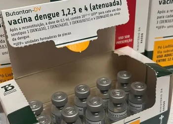 Municípios fluminenses começam a receber vacina contra a dengue
