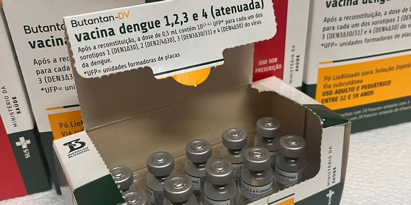 vacina_dengue_4.jpeg