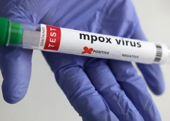 tudo sobre a infecção viral e o como é tratamento