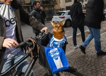 Como alcança sucesso no futebol italiano com donos bilionários