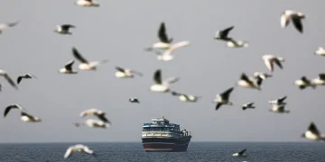 Bloqueio longo em Ormuz não afetará só o petróleo; veja cenário para granéis sólidos