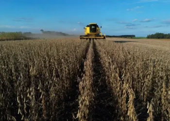 Como commodities agrícolas são afetadas pela escalada do conflito no Oriente Médio?
