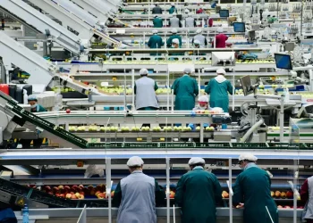 Indústria de alimentos fatura R$ 1,38 trilhão em 2025 em meio a pressões de custos