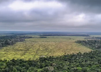 Emissões de gases caem em 2024, mas meta climática segue em risco