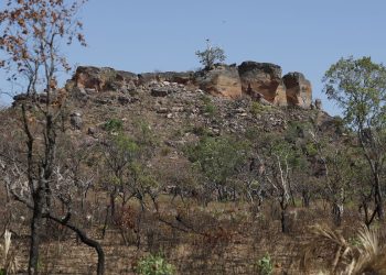 Pesquisa com IA identifica terras agrícolas abandonadas no Cerrado
