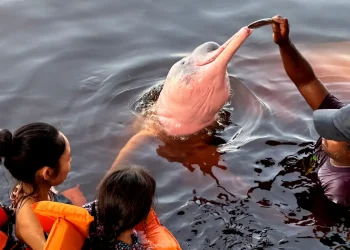 Insegurança é barreira para 62% das mulheres viajarem sozinhas