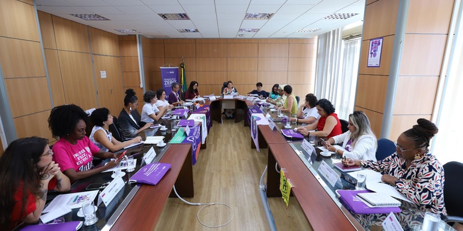 reuniao_ministerio_das_mulheres.jpeg