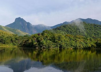 Qualidade dos rios da Mata Atlântica continua precária, aponta estudo