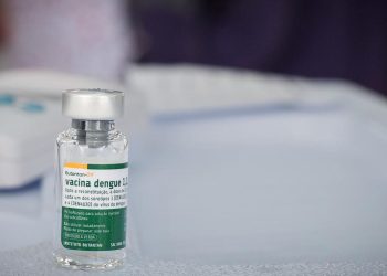 Vacina brasileira contra a dengue mantém eficácia por até 5 anos