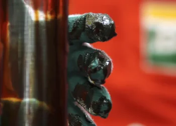 Brasil perde R$ 47 bilhões ao apostar em petróleo na Foz do Amazonas