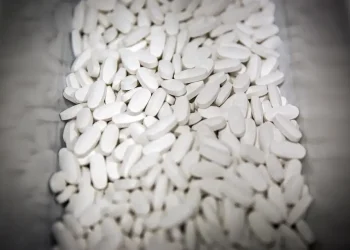 EUA anunciam tarifas de até 100% sobre medicamentos importados