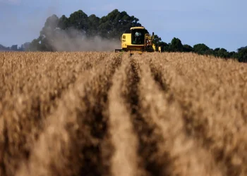 Além da guerra, El Niño se soma às ameaças contra as safras e inflação no Brasil