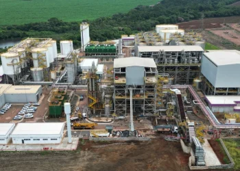 Biocombustíveis voltam à moda com aumento no preço do petróleo por guerra
