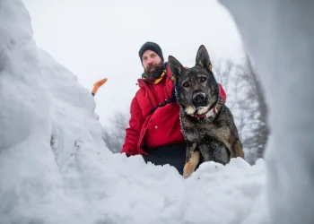 O que o treino contra avalanche ensina aos conselhos de empresas sobre decisões ruins