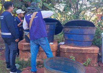 Chikungunya: ministro classifica de crítica situação em Dourados