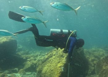 ONG busca ciência para orientar manejo sustentável de costões rochosos