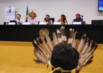 Lideranças defendem indígenas em espaços de decisão e proteção de territórios em seminário na Câmara – Notícias