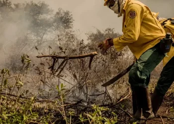 Caso de calor extremo no Brasil em 2023-2024 ilustra riscos para segurança alimentar