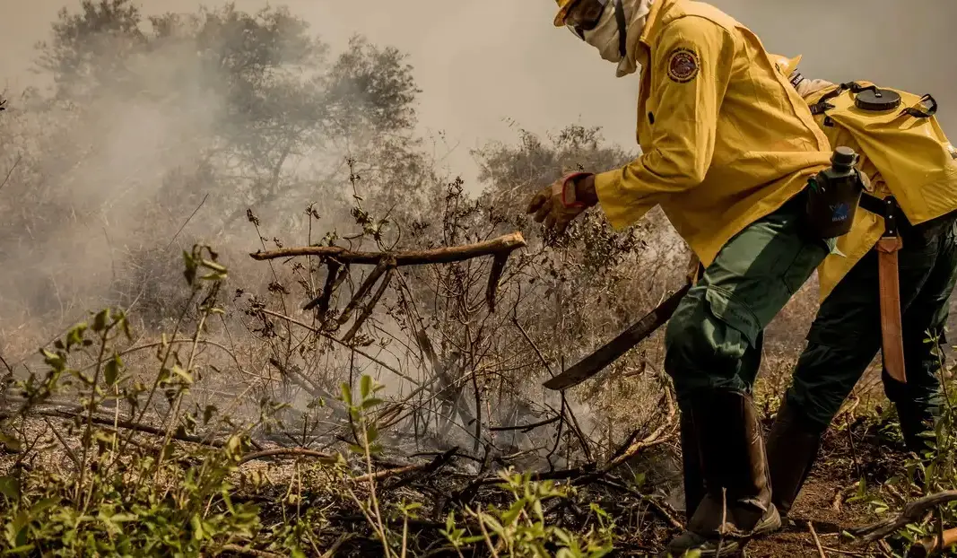 incendio-queimada-pantanal.jpg