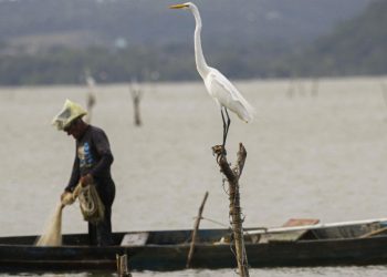 Mudanças aprovadas para o seguro-defeso previnem fraudes, diz relator
