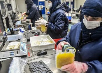 Dia Mundial da Hemofilia: campanha reforça importância do diagnóstico