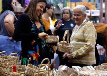 Brasil já tem 4,5 milhões de empreendedores da Economia Prateada